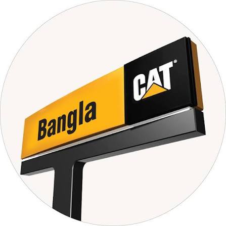 Bangla Cat